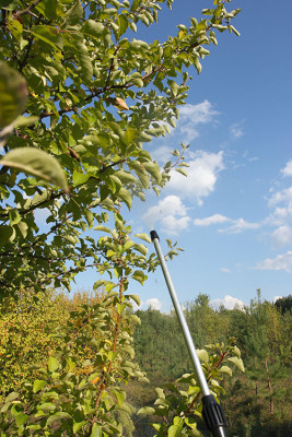 Опрыскиватель Туман складной ОГ-303М