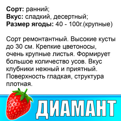 Земляника (Клубника) Диамант в стаканчике
