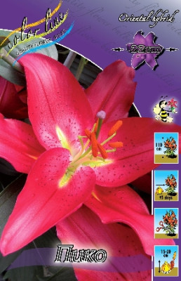 Лилия Пико (1шт) 3842