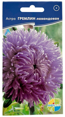 Астра ГРЕМЛИН лавандовая АКВАРЕЛЬ