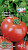 томат Рошфор