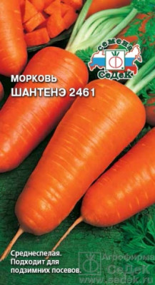 морковь Шантенэ  2461 (Евро, 2) морковь Шантенэ  2461 (Евро, 2)