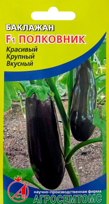 Баклажан Полковник F1 12шт