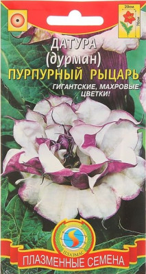 Датура (Дурман) Пурпурный рыцарь 4шт