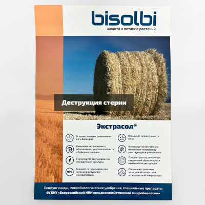 БиосолбиСан 500мл описание (5)