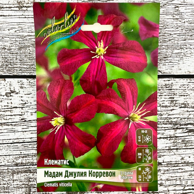 Клематис МАДАМ ДЖУЛИЯ КОРРЕВОН (3 группа обрезки)