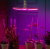 Лампа для растений Био P65-24W-Е27 UNIEL LED-P65-24W/SPSB/E27/FR/P3 PLP32WH