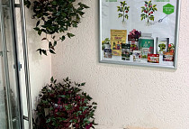 Магазин Семена в Самаре