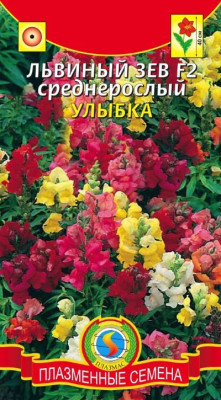 Львиный зев Улыбка