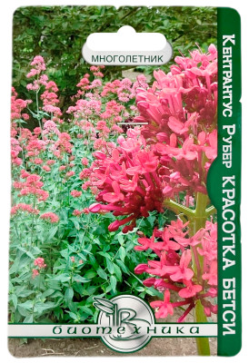 Кентрантус рубер КРАСОТКА БЕТСИ БИОТЕХНИКА