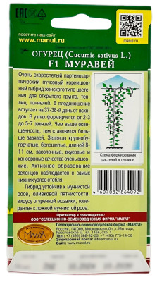 Огурец МУРАВЕЙ МАНУЛ описание