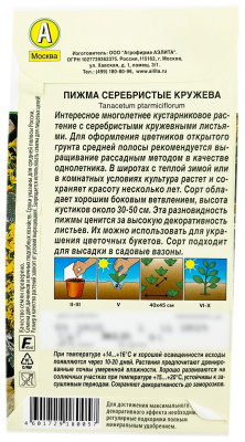 Пижма СЕРЕБРИСТЫЕ КРУЖЕВА АЭЛИТА описание