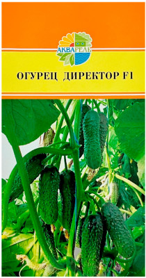Огурец ДИРЕКТОР F1 АКВАРЕЛЬ