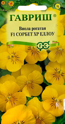 Виола рогатая Анютины глазки Сорбет XP Еллоу F1 ГАВРИШ