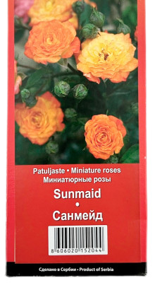 Миниатюрные розы САНМЕЙД SUNMAID