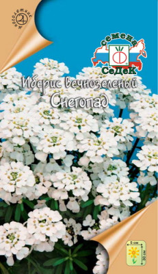 Иберис Снегопад (вечнозеленый, белый)