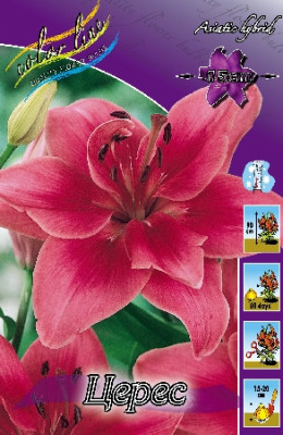 Лилия Церес (1шт) 202