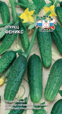 Огурец Феникс