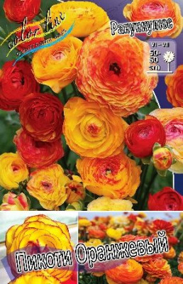 Ранункулюс Пикоти Оранжевый (10шт) 6454