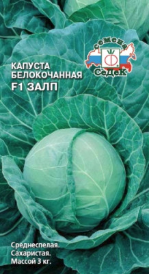 капуста Зима F1 (Б/К)