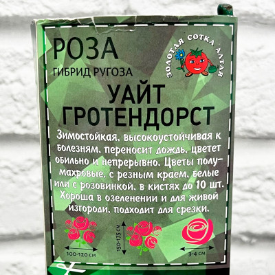 Роза ругоза УАЙТ ГРОТЕНДОРСТ описание