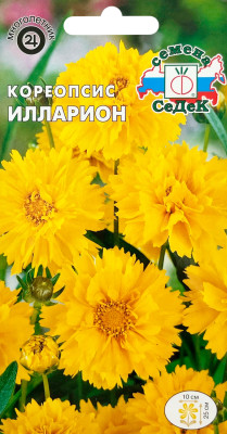 Кореопсис Илларион крупноцветковый