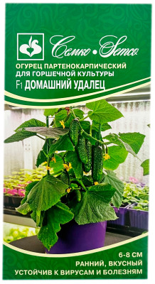 Огурец партенокарпический для горшечной культуры F1 ДОМАШНИЙ УДАЛЕЦ СЕМКО