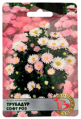 Астра китайская ТРУБАДУР СОФТ РОЗ Биотехника