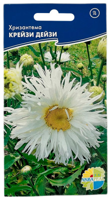 Хризантема КРЕЙЗИ ДЕЙЗИ АКВАРЕЛЬ
