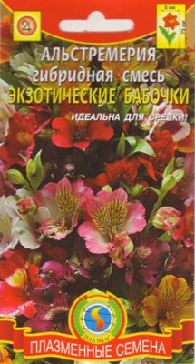 Альстремерия Экзотические бабочки 5 шт.