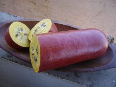 Тыква заморская Кассабанана Рамберт 3шт