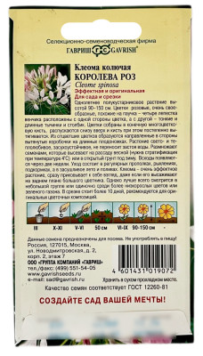 Клеома Королева роз ГАВРИШ описание