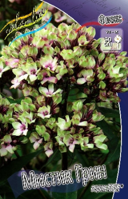 Флокс Мистик Грин (2шт)