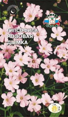 Гипсофила Розовая дымка изящная розовая