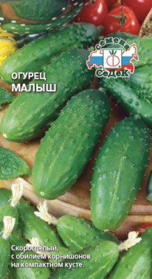 огурец Малыш  о/г (Евро, 0,3) огурец Малыш  о/г (Евро, 0,3)