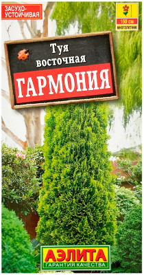 Туя восточная гармония АЭЛИТА