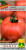 Томат Большой Брат МАНУЛ Томат Большой Брат МАНУЛ