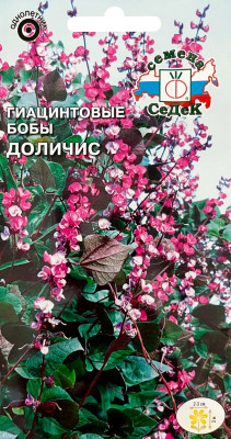 Гиацинтовые бобы Доличис