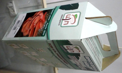 Грибы Мицелий в грибных грядках Вешенка розовая