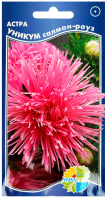 Астра игольчатая Уникум салмон роуз
