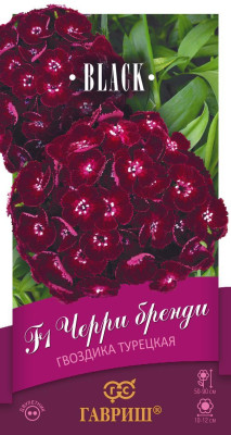 Гвоздика турецкая Черри бренди F1 *5 шт, пробирка Н17 Гвоздика турецкая Черри бренди F1 *5 шт, пробирка Н17