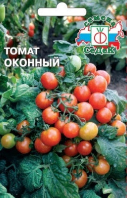 томат Оконный томат Оконный
