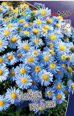 Астра Лейди ин Блю (2шт) 673