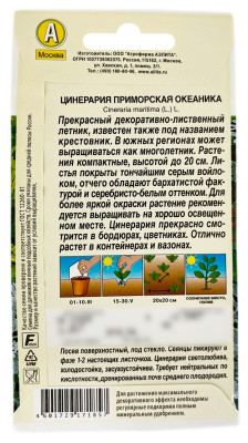 Цинерария приморская ОКЕАНИКА АЭЛИТА описание