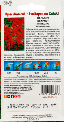 Сальвия Скарлет пиколло (блестящая, низкорослая, красная)