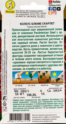 Колеус блюме Скарлет 10шт Колеус блюме Скарлет 10шт