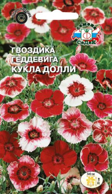 Гвоздика Кукла Долли Геддевига