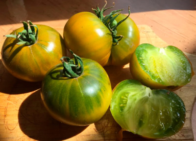 Томат Изумрудное яблоко (25шт)