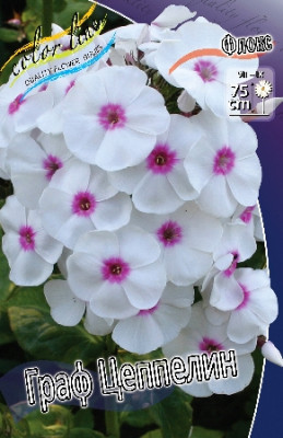 Флокс Граф Цеппелин (1шт) 4837