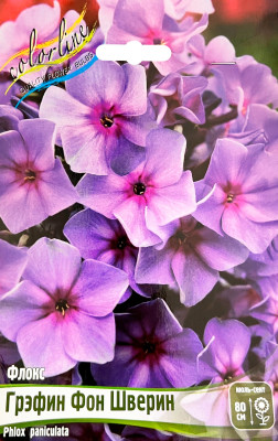 Флокс Грэфин фон Шверин (2шт)